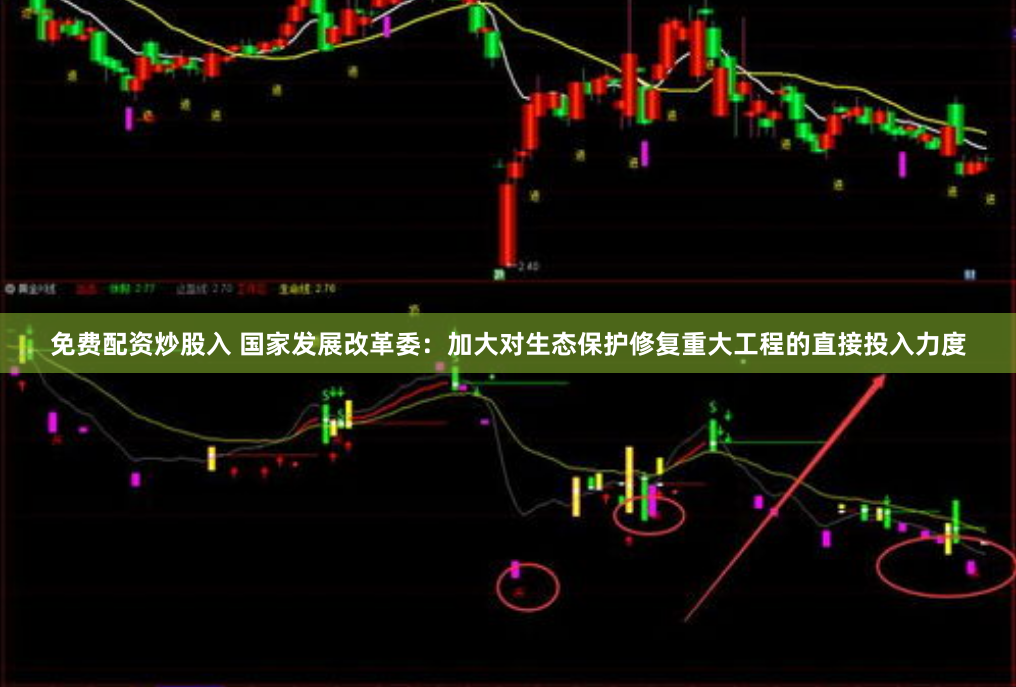 免费配资炒股入 国家发展改革委：加大对生态保护修复重大工程的直接投入力度