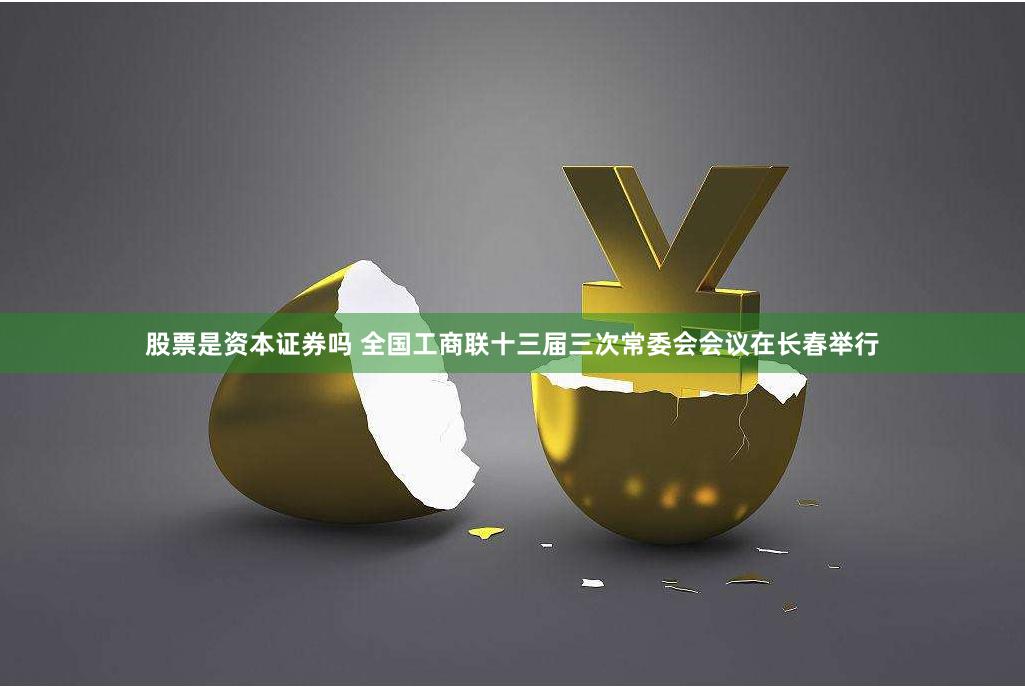 股票是资本证券吗 全国工商联十三届三次常委会会议在长春举行
