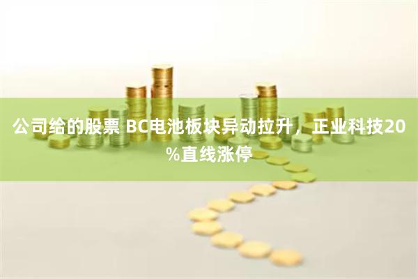 公司给的股票 BC电池板块异动拉升，正业科技20%直线涨停