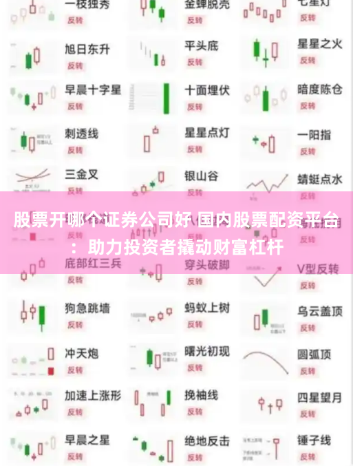 股票开哪个证券公司好 国内股票配资平台：助力投资者撬动财富杠杆