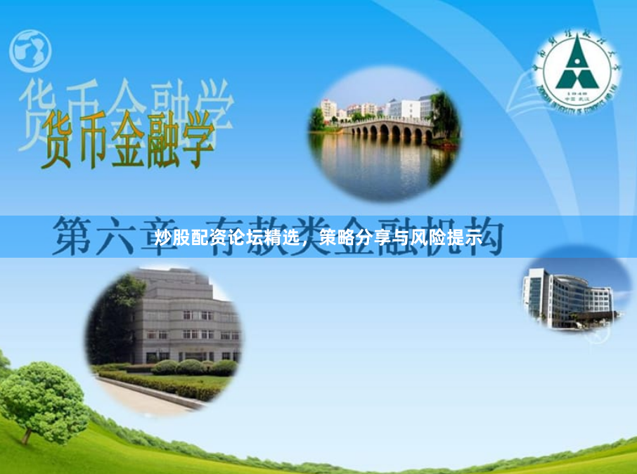 炒股配资论坛精选，策略分享与风险提示