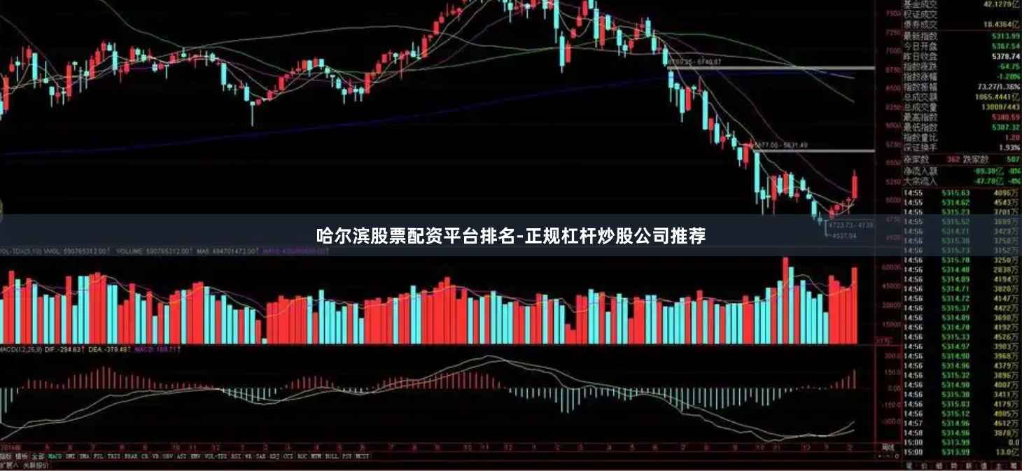 哈尔滨股票配资平台排名-正规杠杆炒股公司推荐